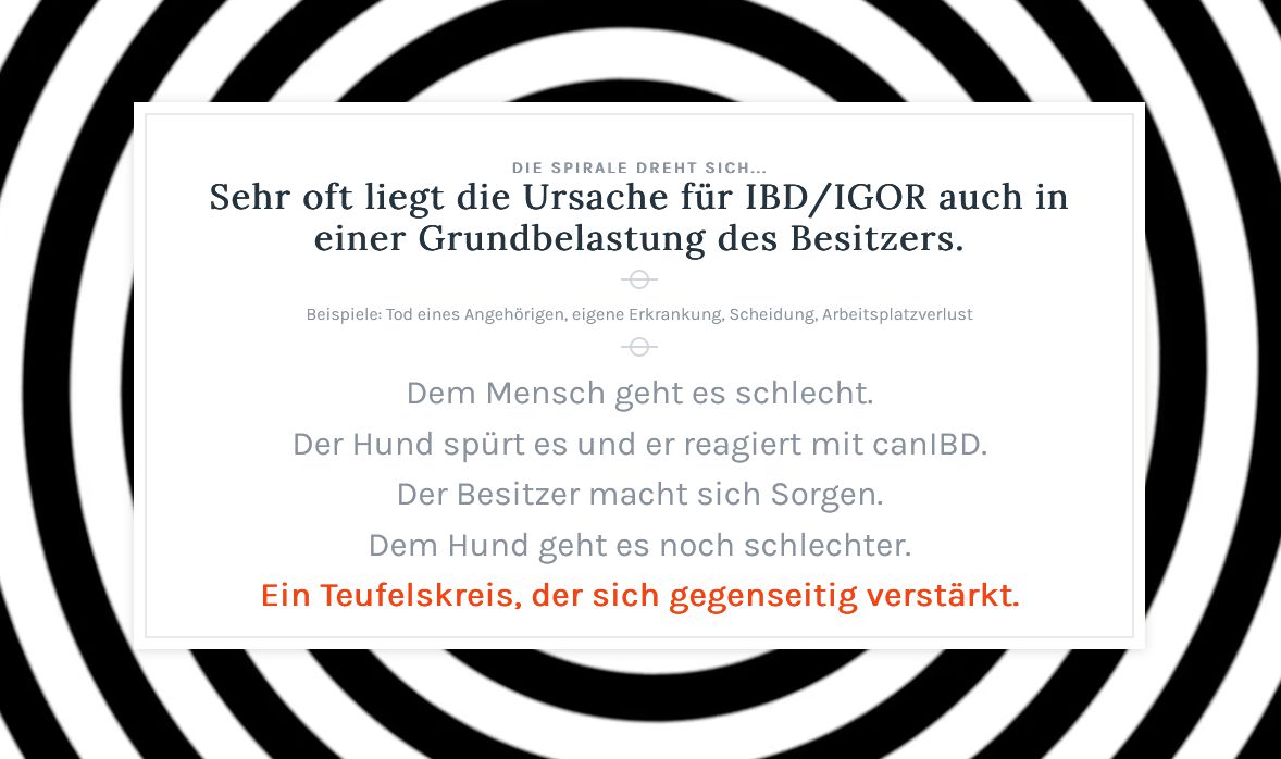 Teufelskreis 2